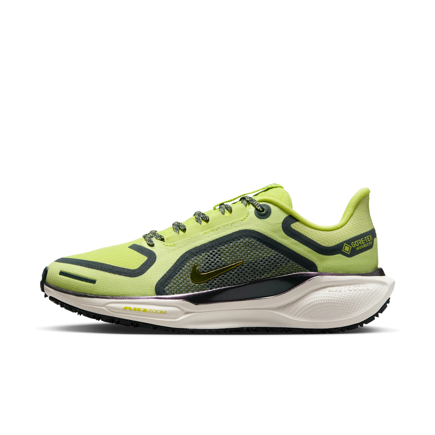 Nike Pegasus 41 GORE-TEX