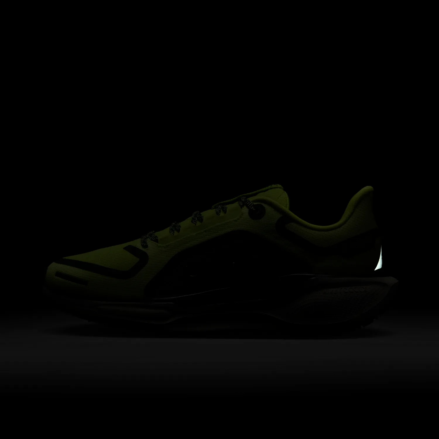 Nike Pegasus 41 GORE-TEX image 11