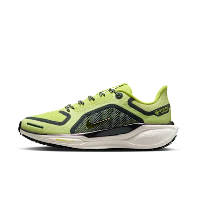 Nike Pegasus 41 GORE-TEX