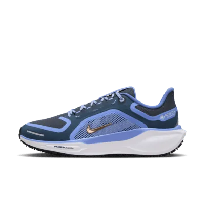 Nike Pegasus 41 GORE-TEX