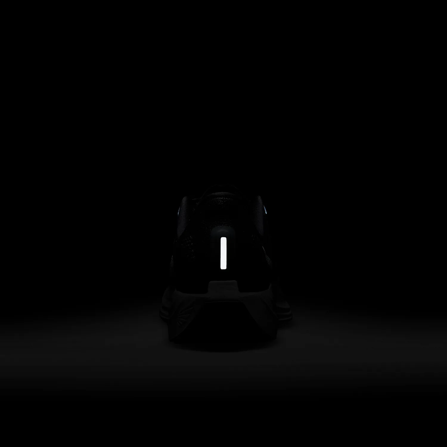 Nike Pegasus Plus image 2