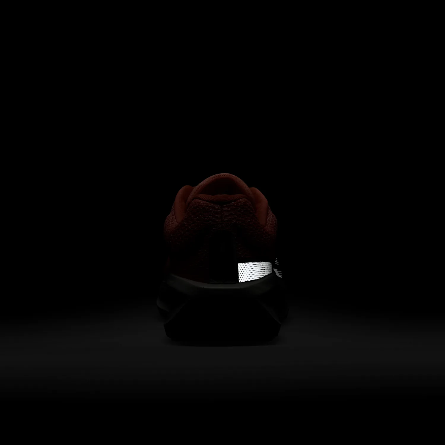 Nike Winflo 11 PRM image 2