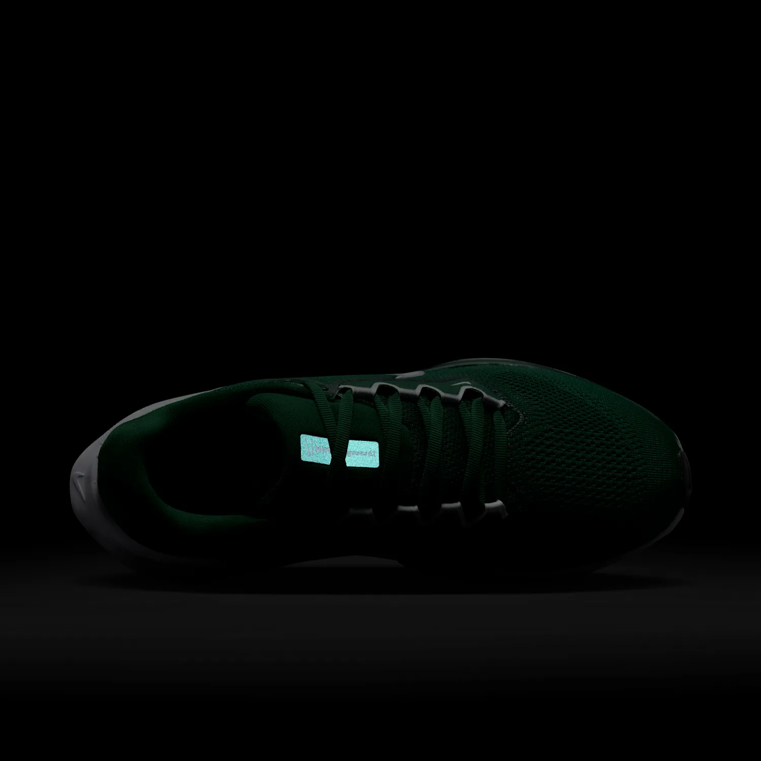 Nike Pegasus 41 image 12