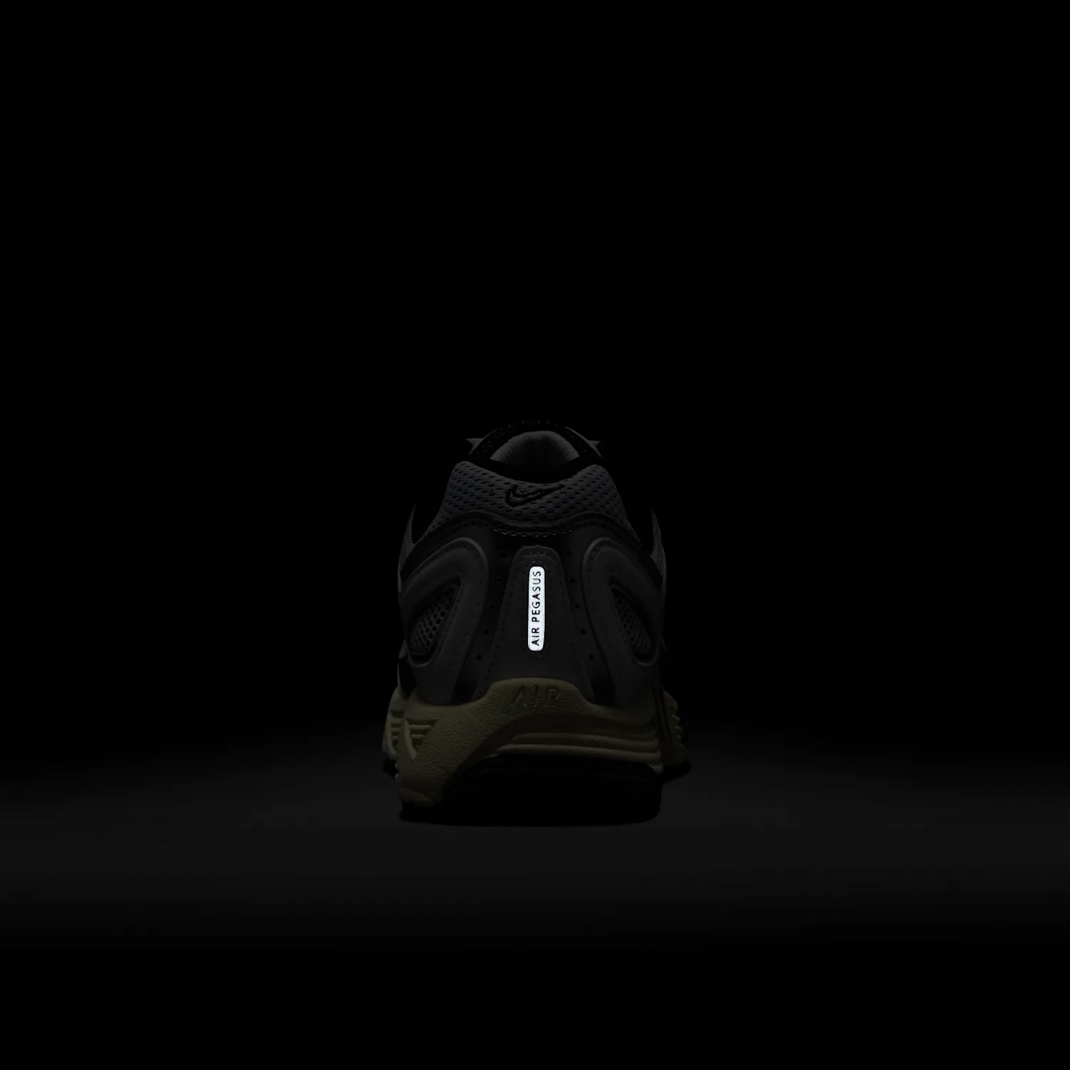 Nike Air Pegasus 2005 image 2