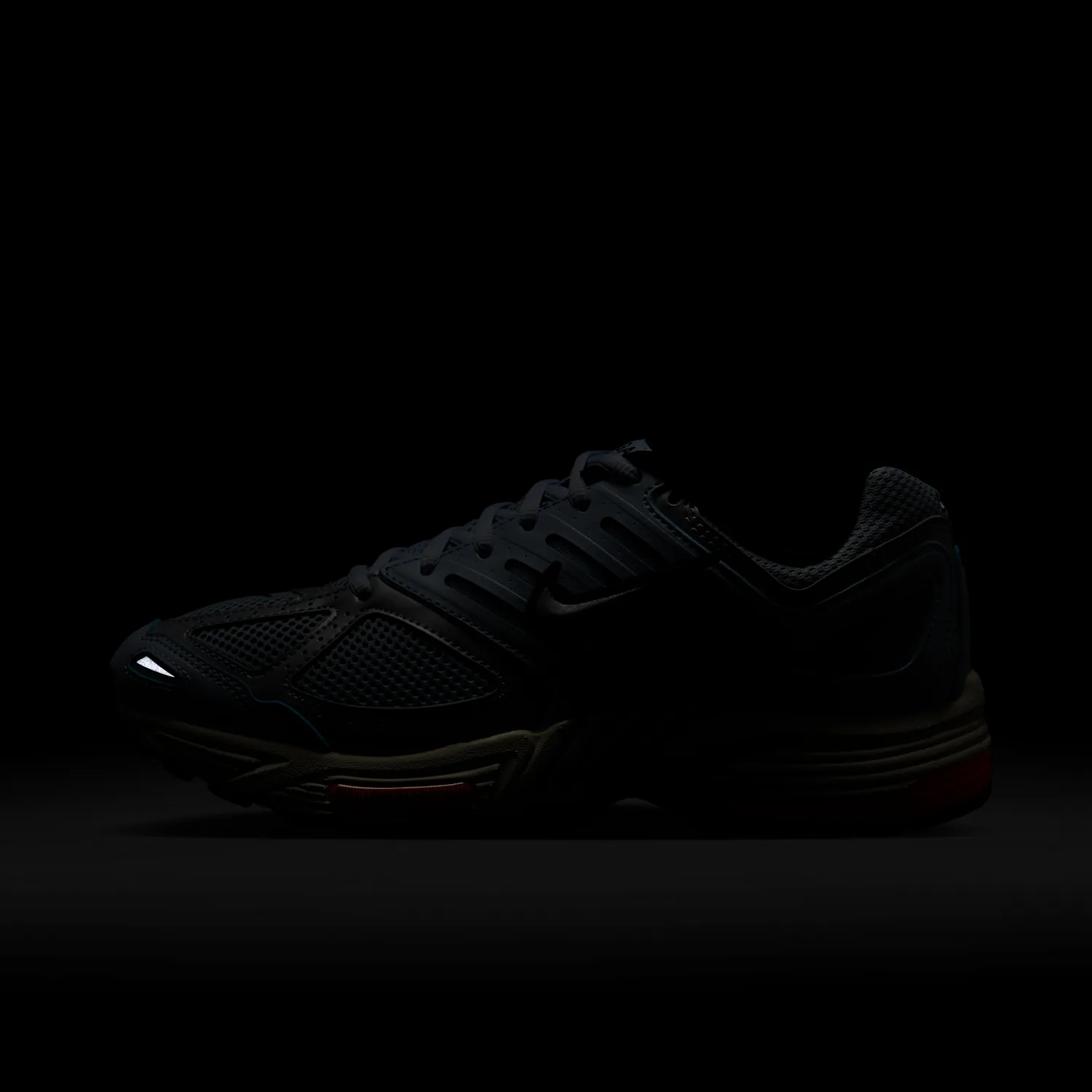 Nike Air Pegasus 2005 image 3