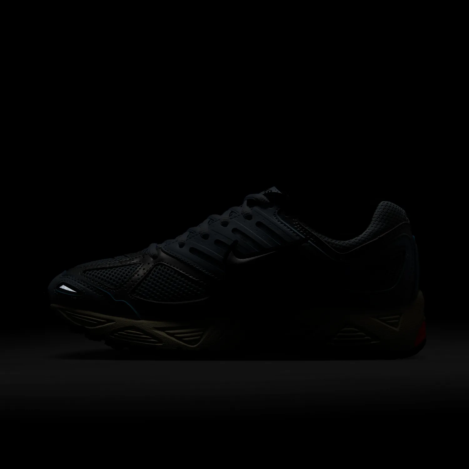 Nike Air Pegasus 2005 image 4