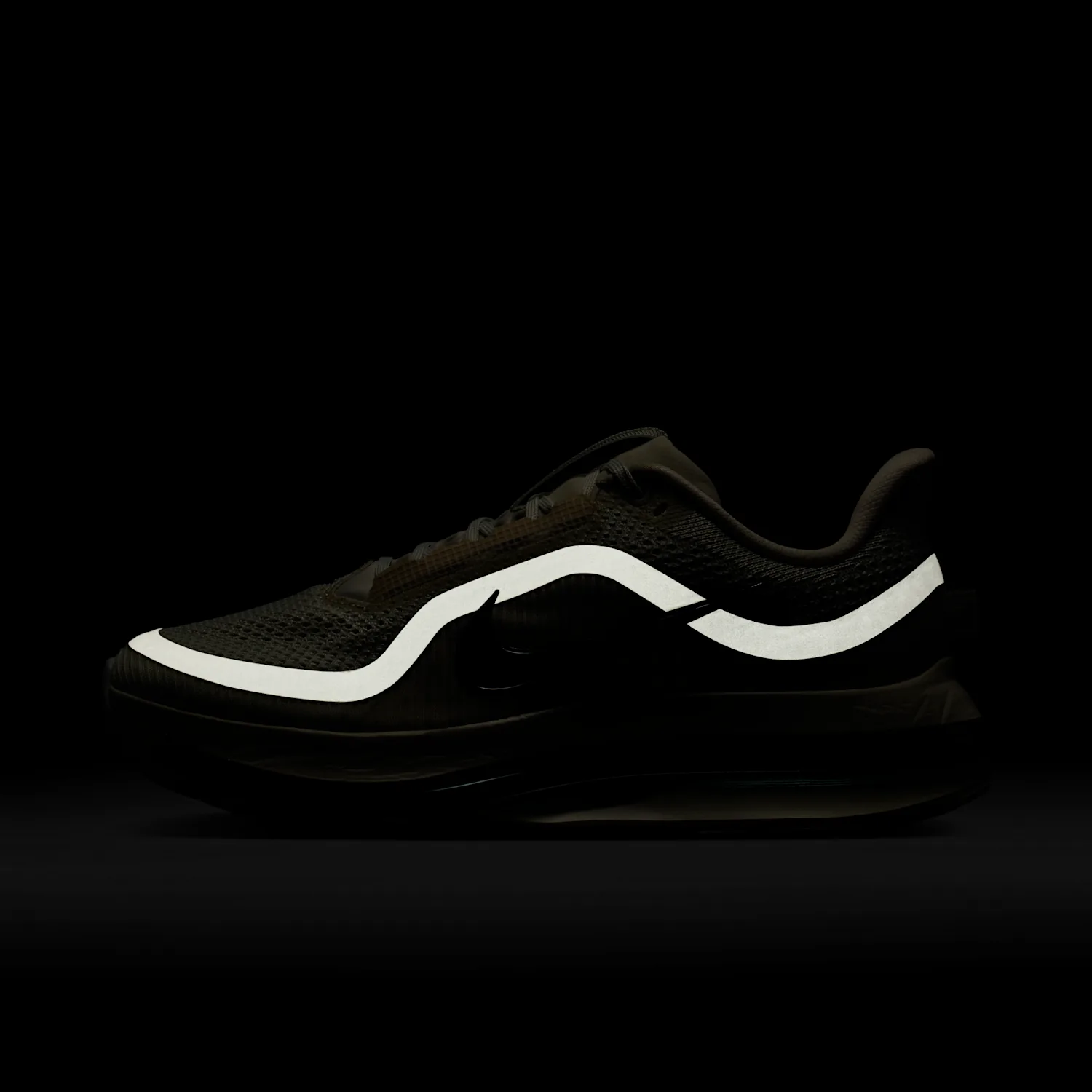 Nike Pegasus Premium image 9