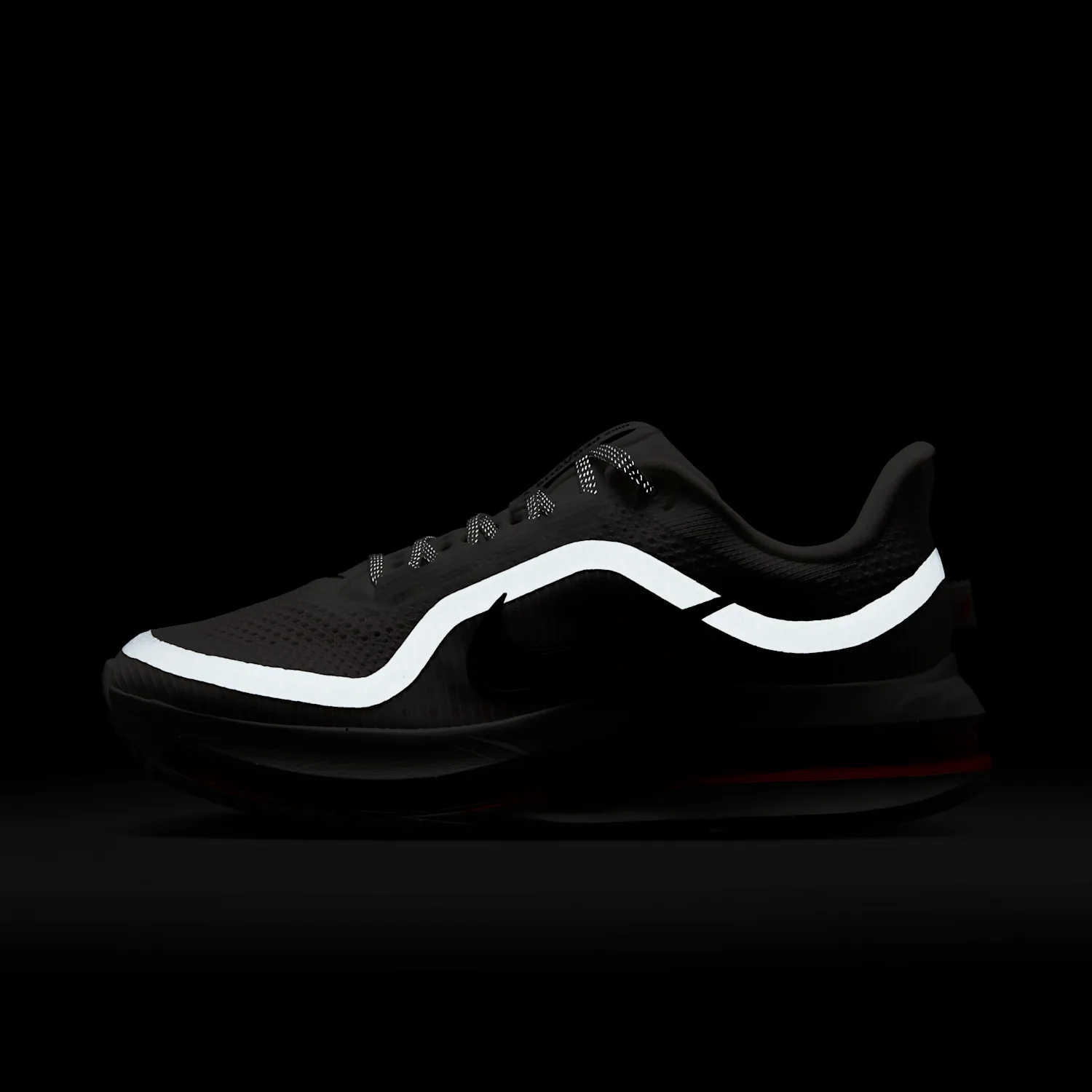 Nike Pegasus Premium image 3