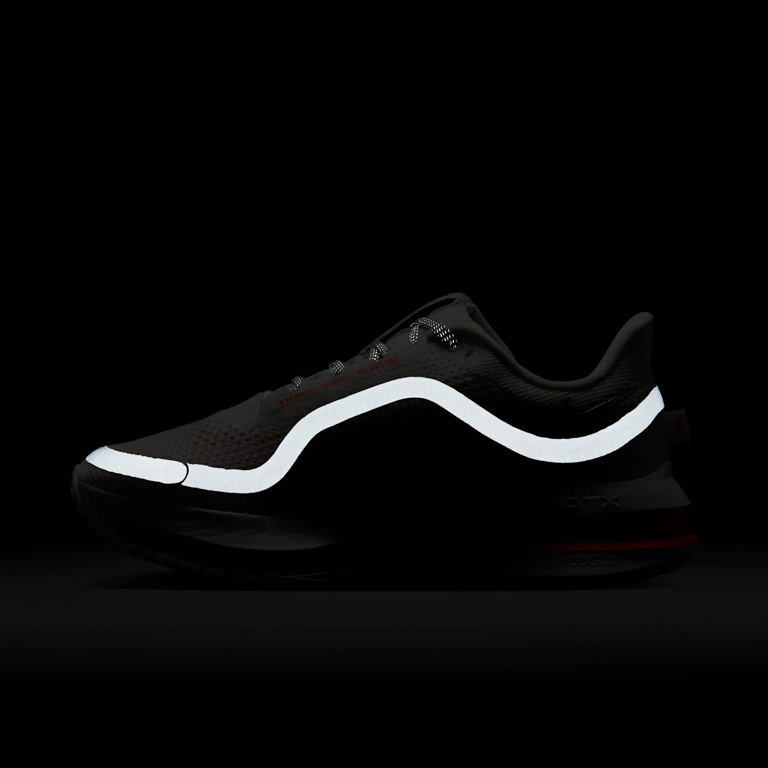 Nike Pegasus Premium image 4