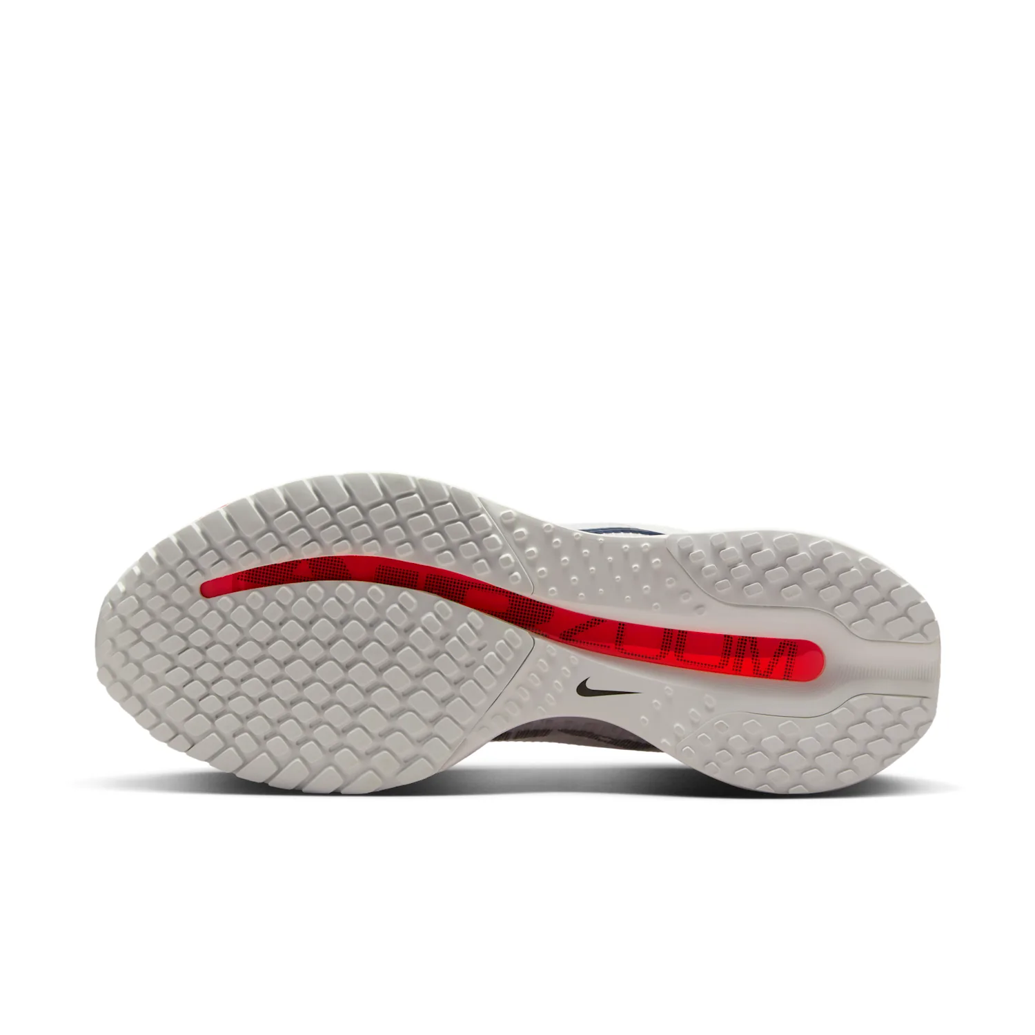 Nike Pegasus Premium image 5