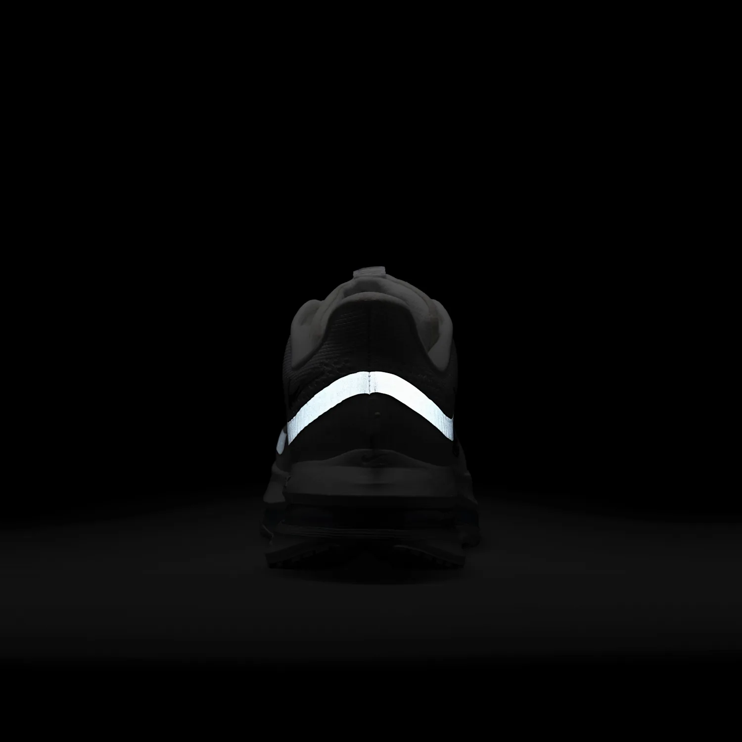 Nike Pegasus Premium image 2