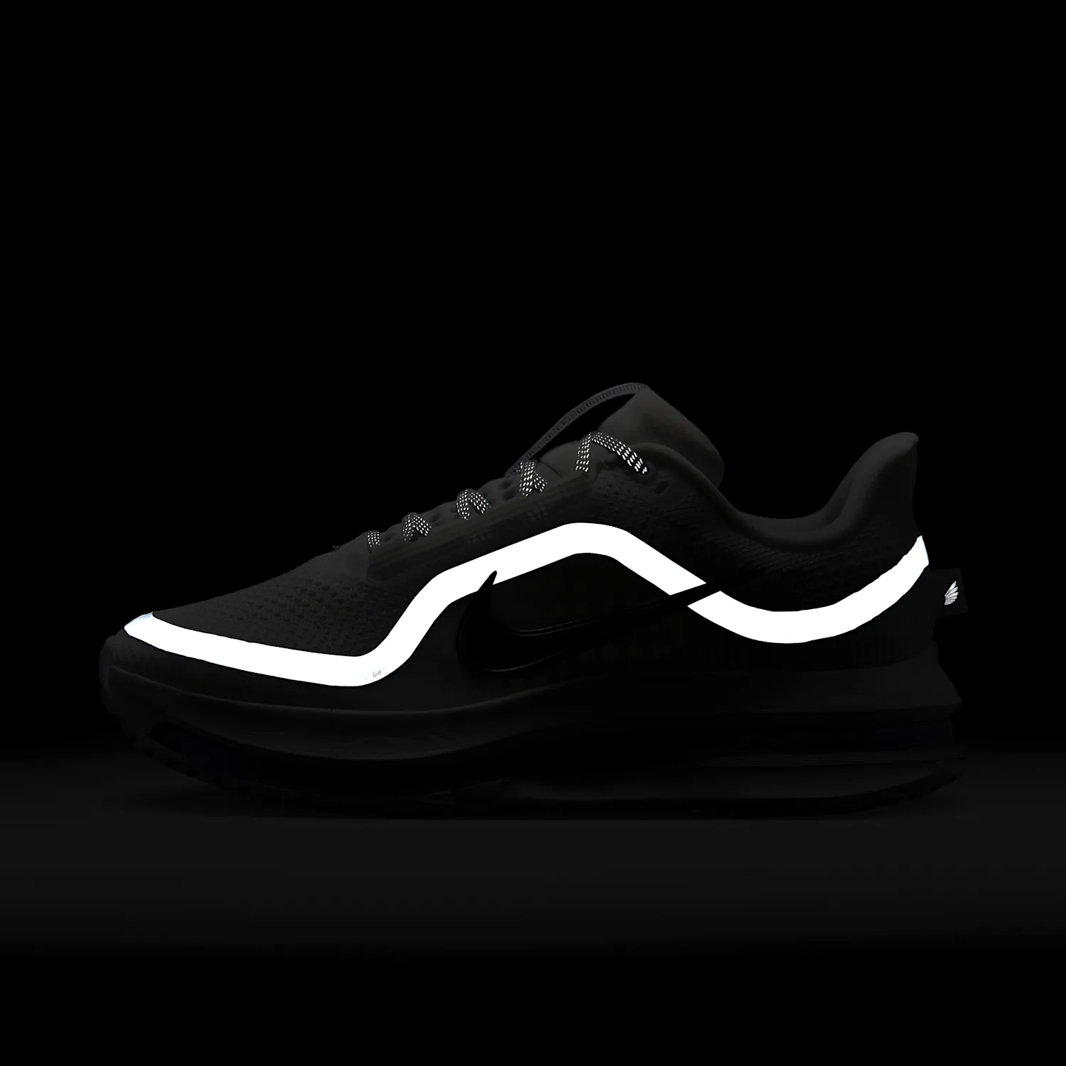 Nike Pegasus Premium image 3