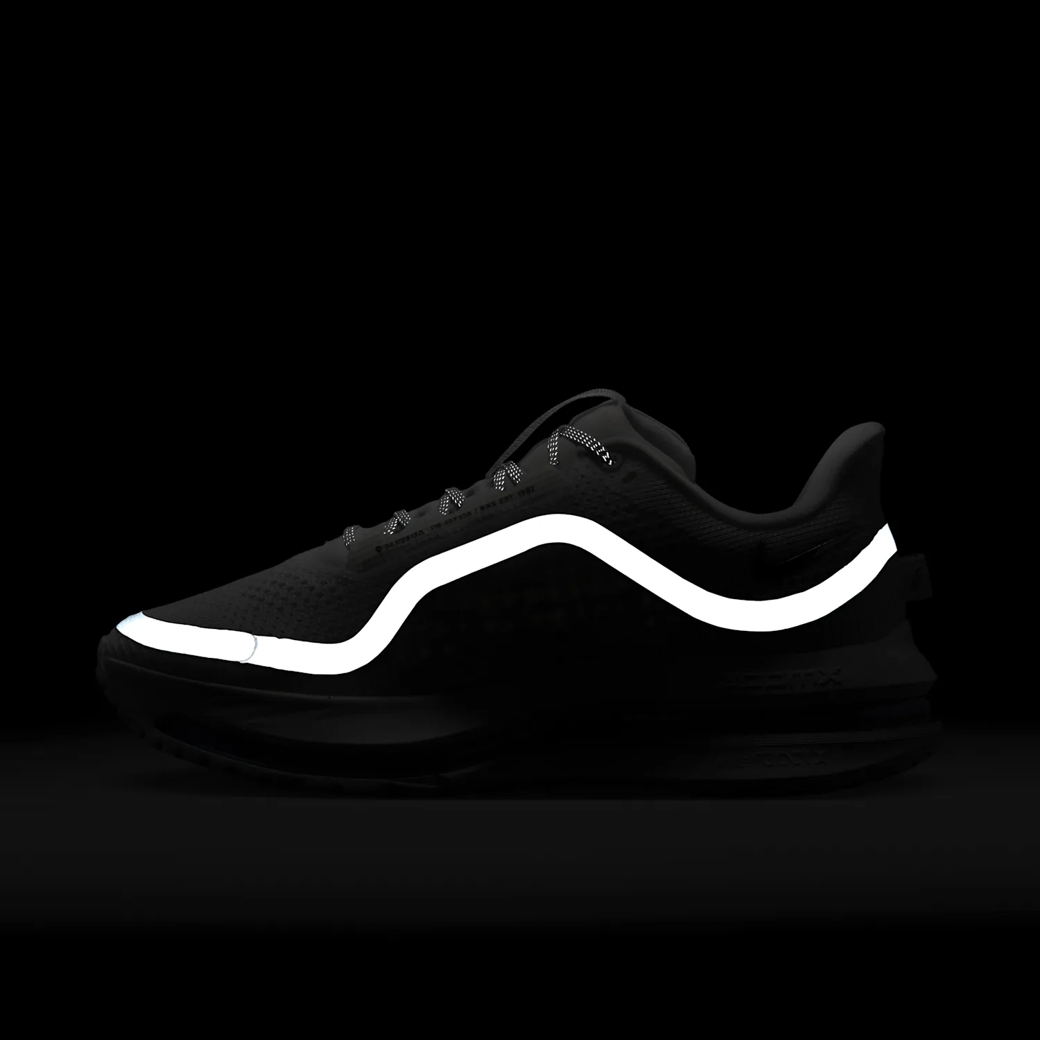 Nike Pegasus Premium image 4