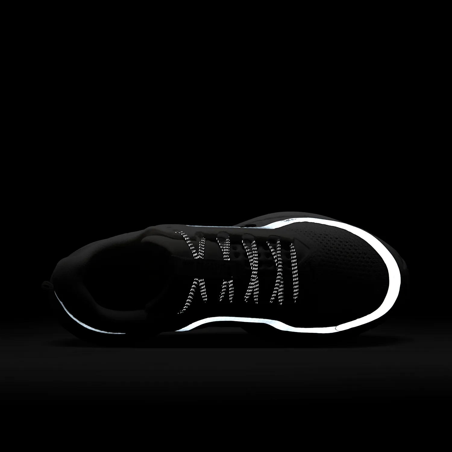 Nike Pegasus Premium image 12