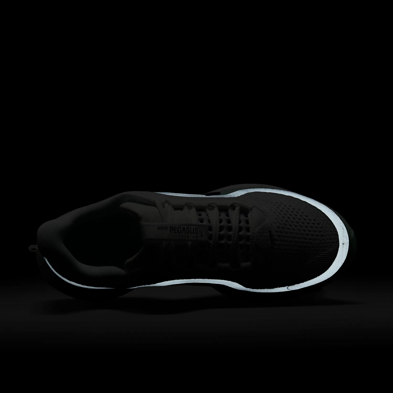 Nike Pegasus Premium image 12