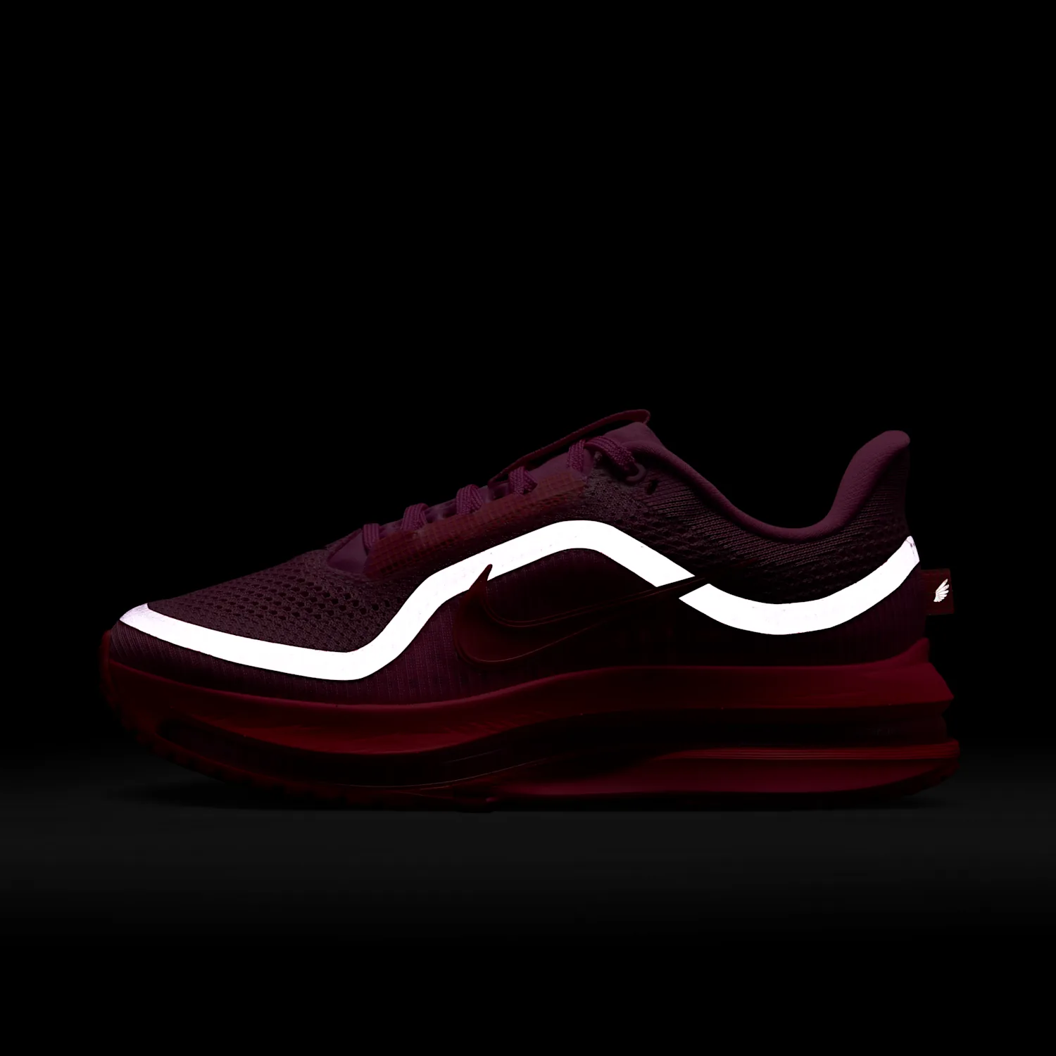 Nike Pegasus Premium image 3