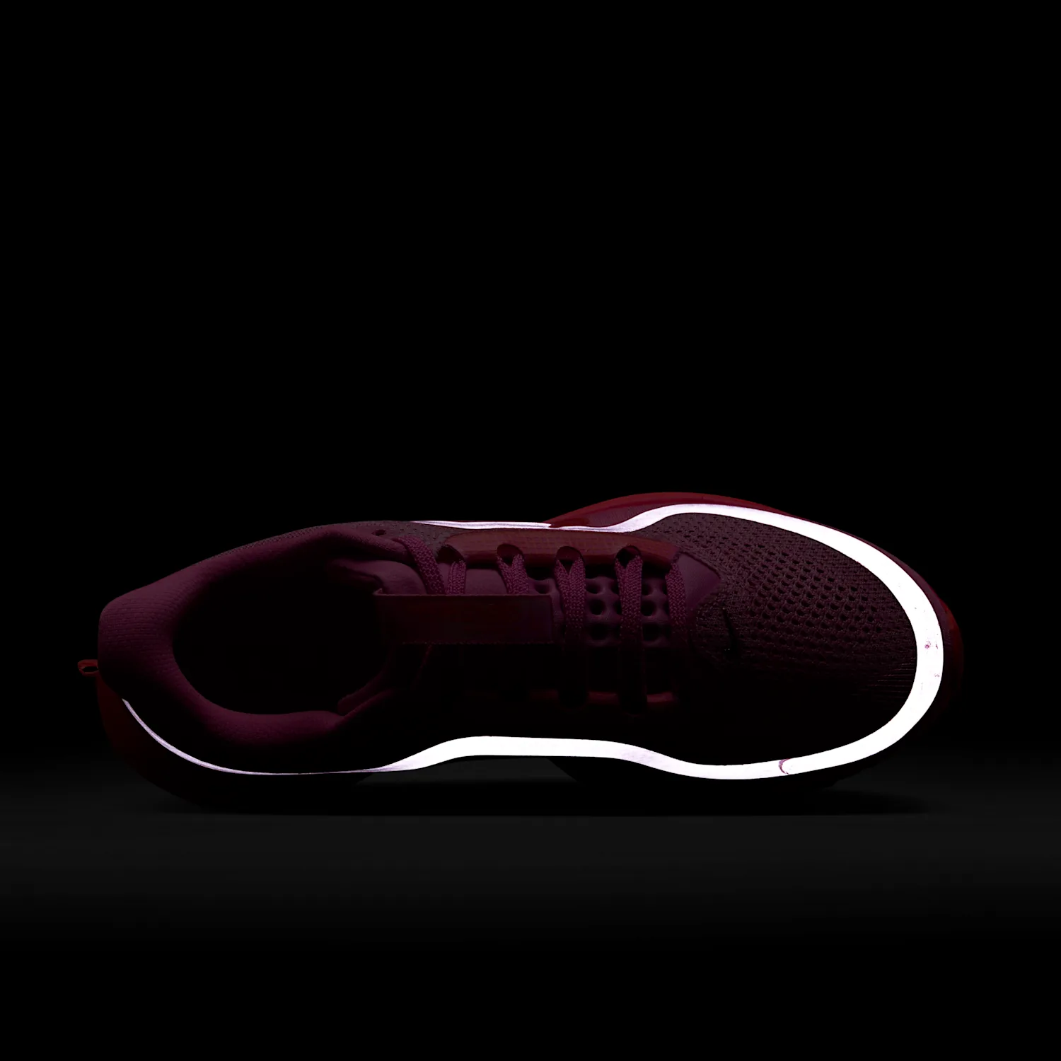 Nike Pegasus Premium image 14