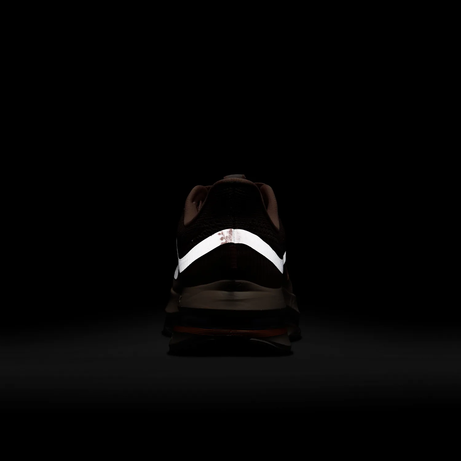 Nike Pegasus Premium image 2