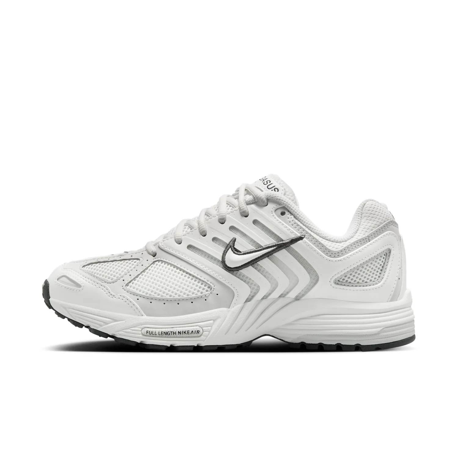 Nike Air Pegasus 2005