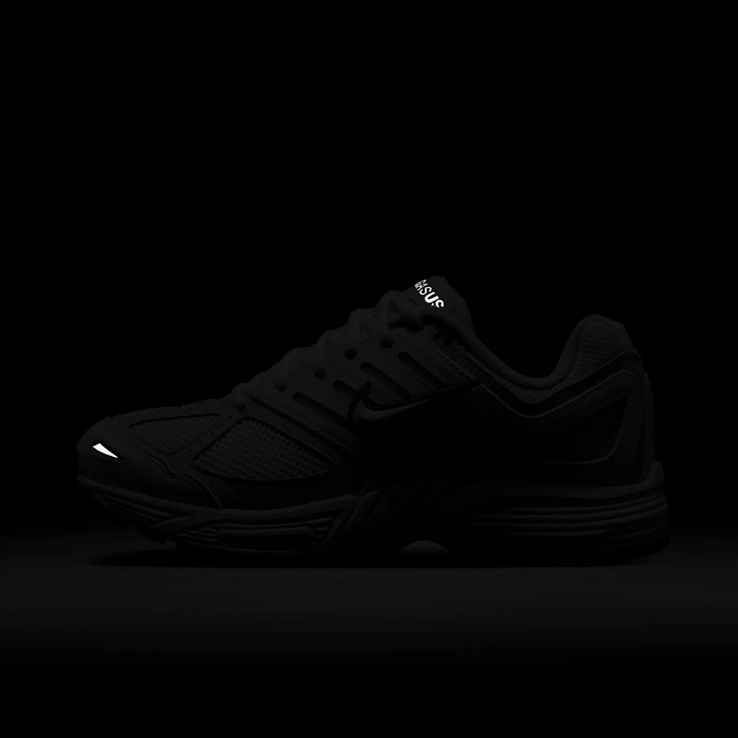 Nike Air Pegasus 2005 image 3