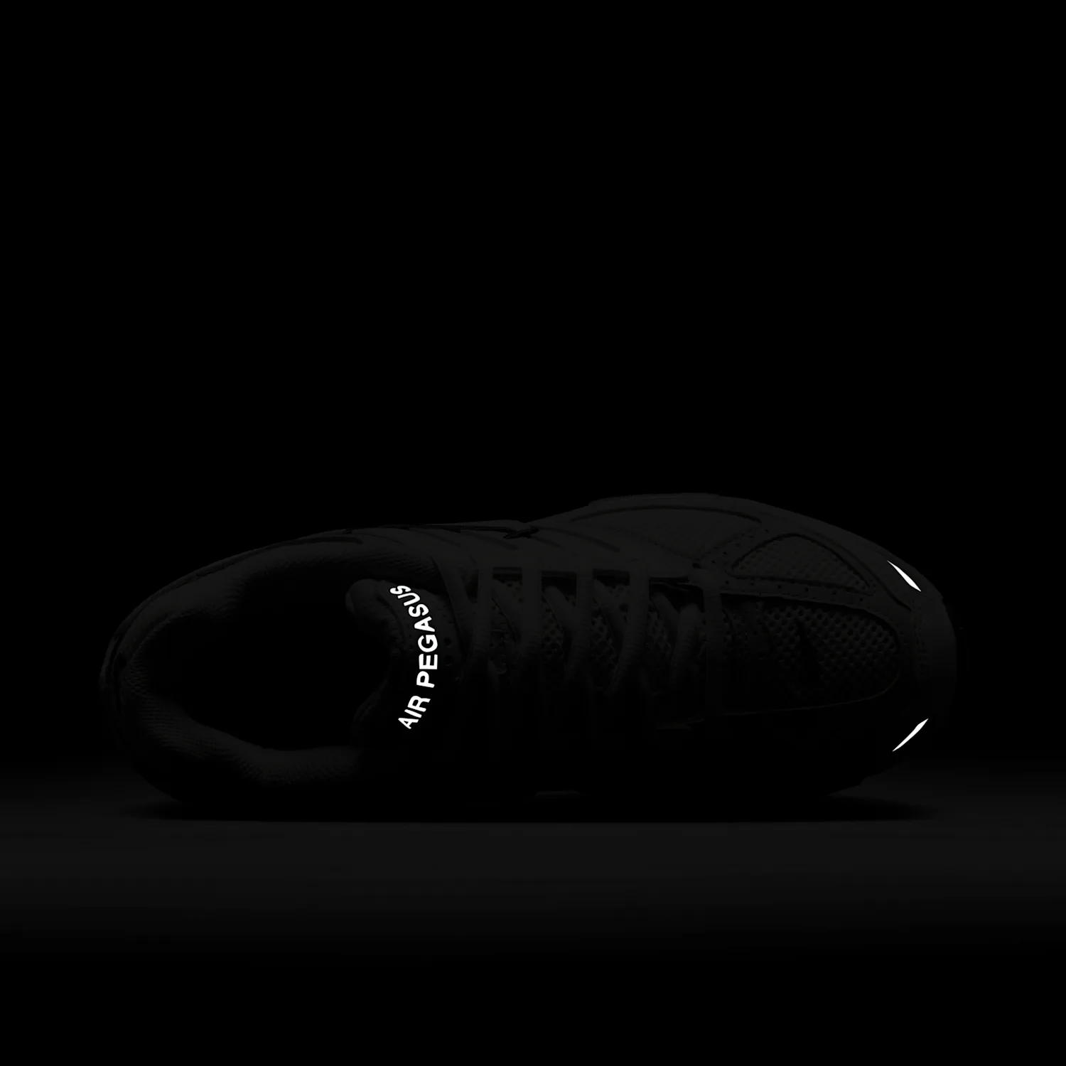 Nike Air Pegasus 2005 image 12