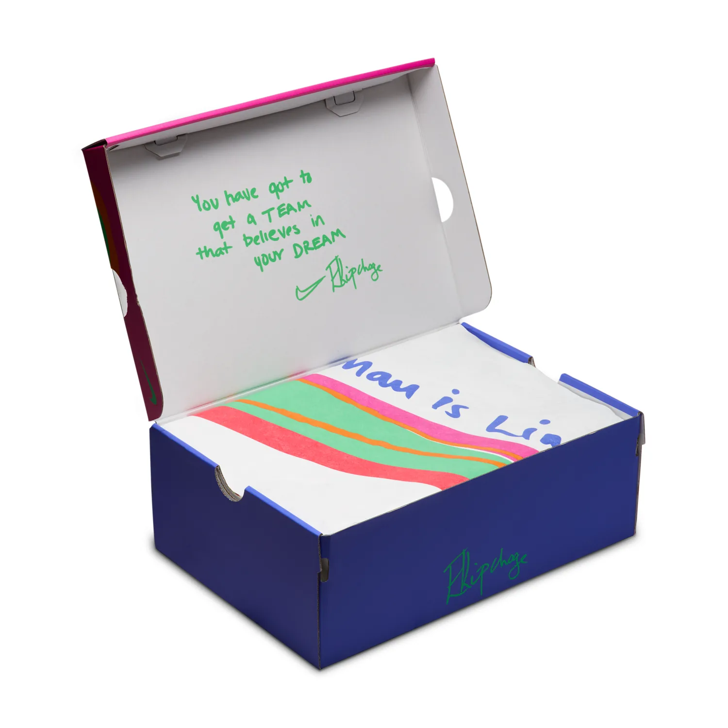 Nike Vaporfly 4 "Eliud Kipchoge" image 2