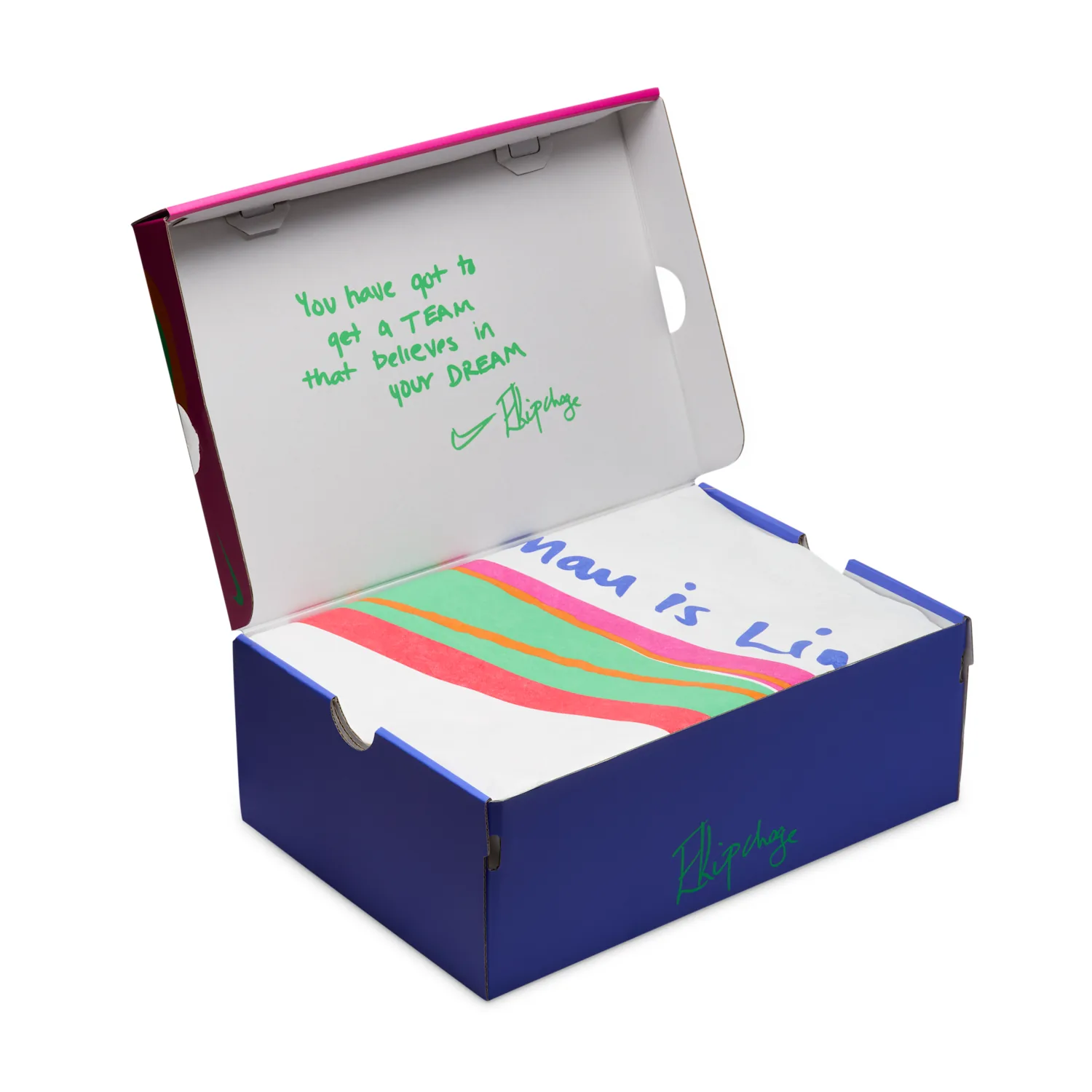 Nike Zoom Fly 6 "Eliud Kipchoge" image 9