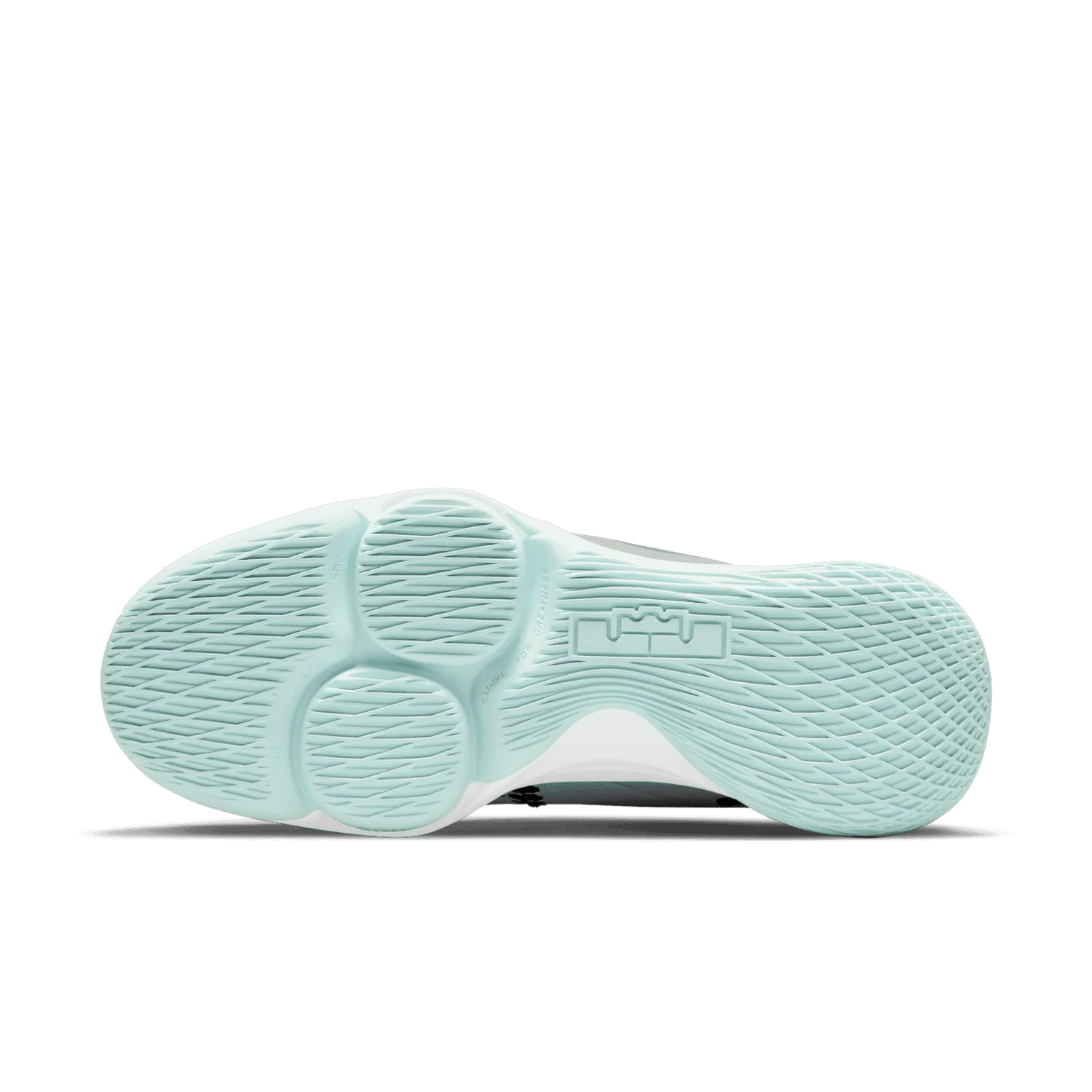 Nike LeBron Witness 5 Pure Platinum Light Dew image 2