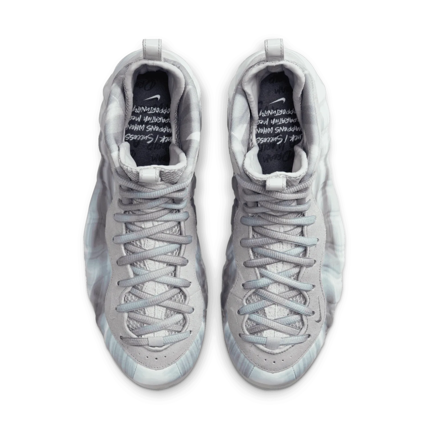Nike Air Foamposite One Dream A World Grey image 3