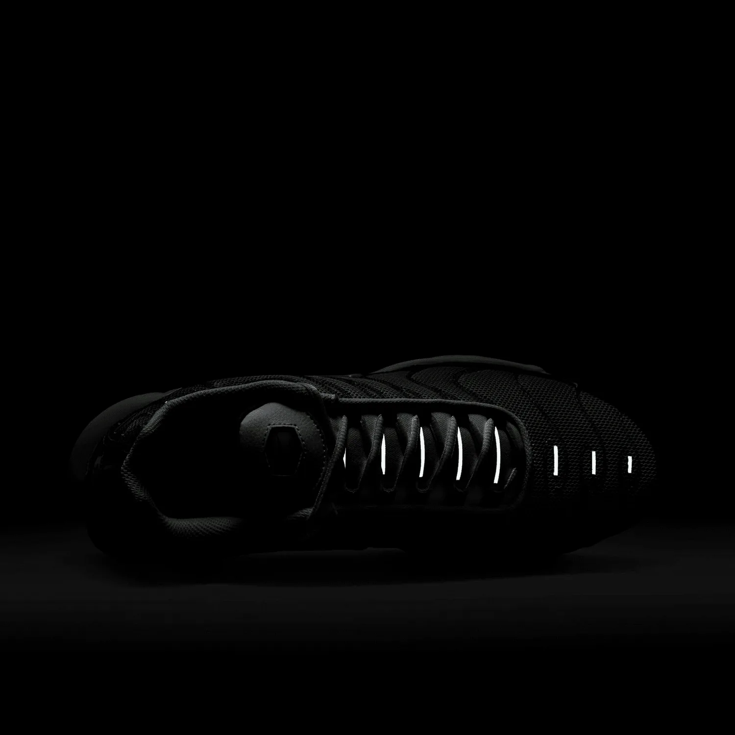 Nike Air Max Plus Flat Pewter Photon Dust image 10