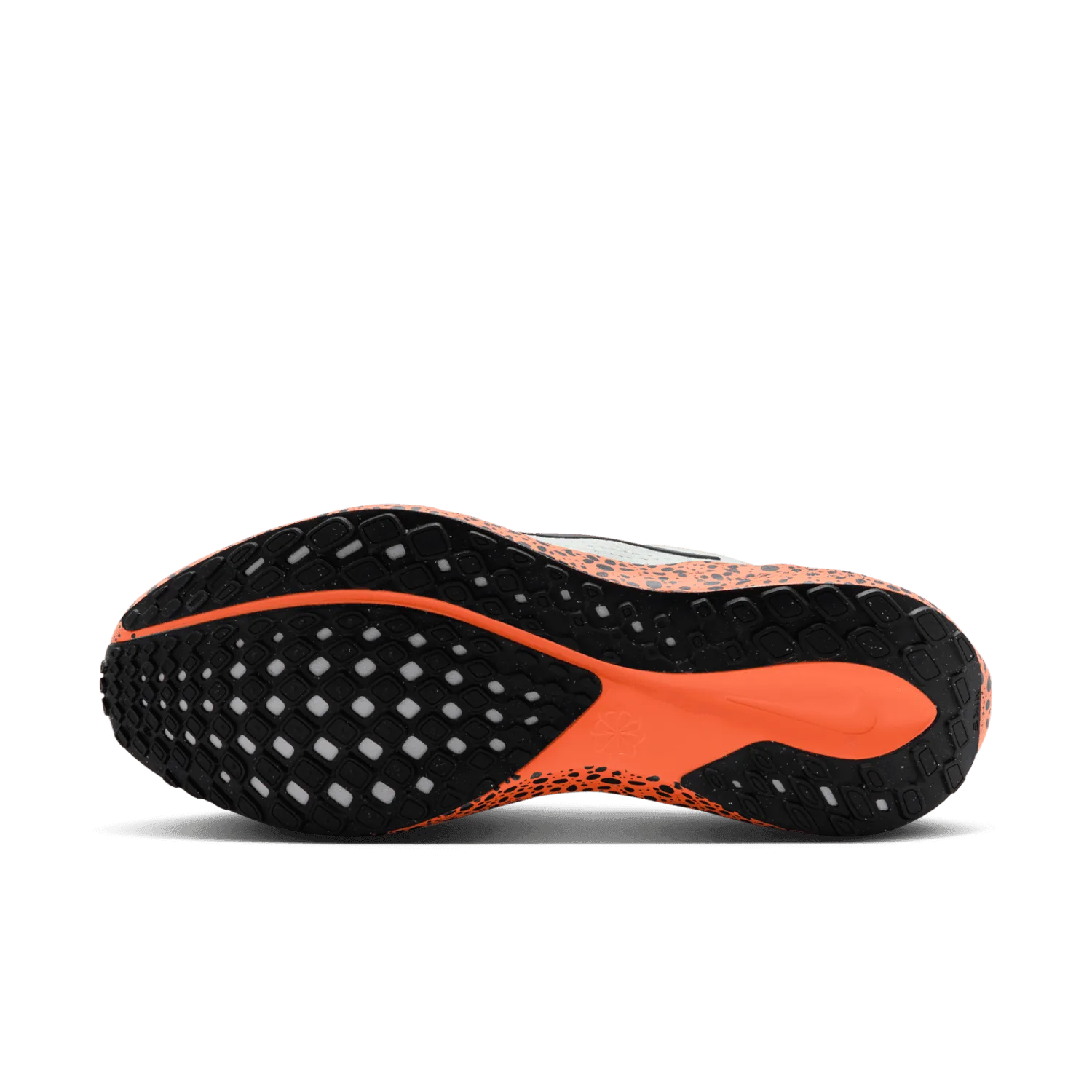 Nike Pegasus EasyOn Olympic Safari