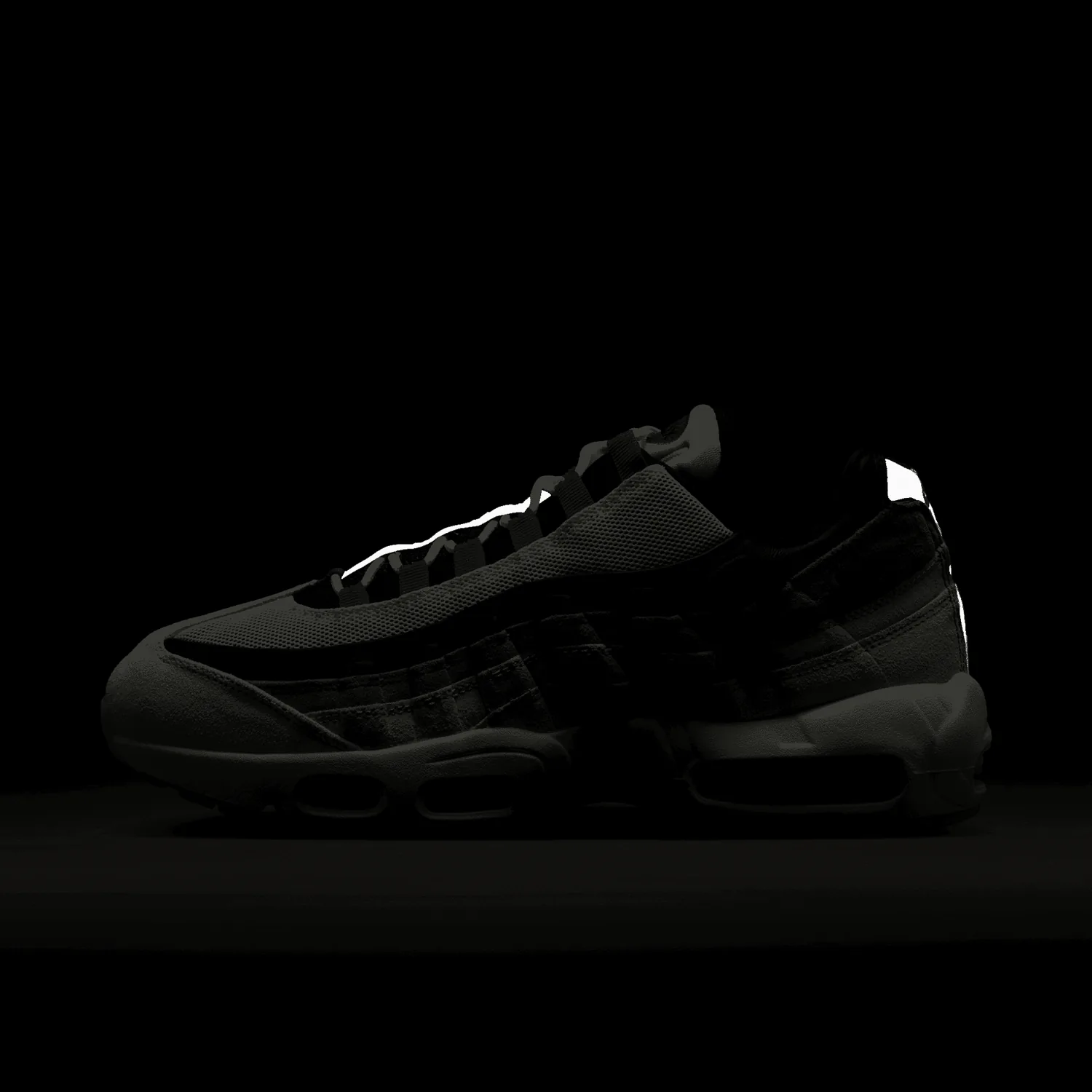 Nike Air Max 95 Nike SB Cactus Flower image 3