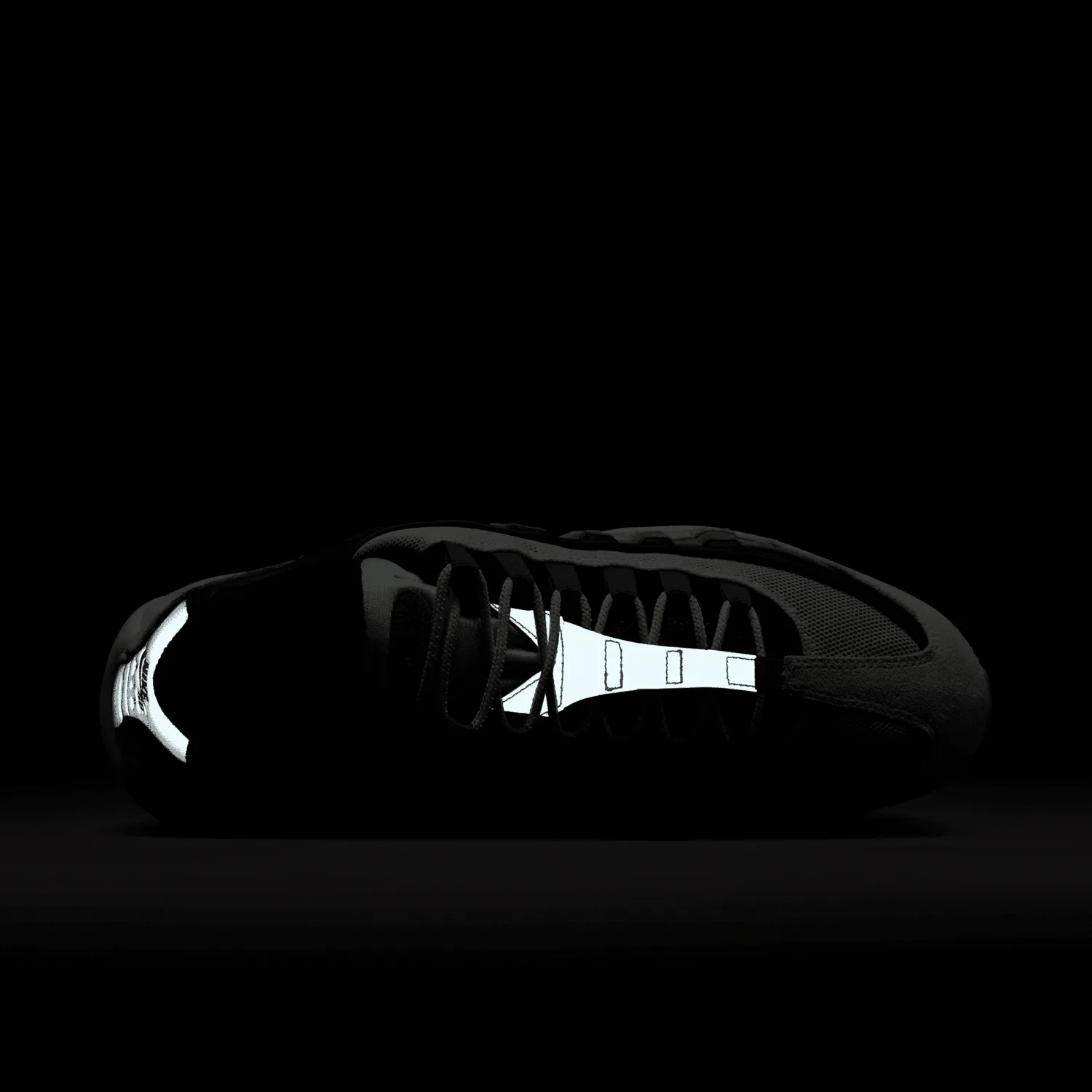 Nike Air Max 95 Nike SB Cactus Flower image 12