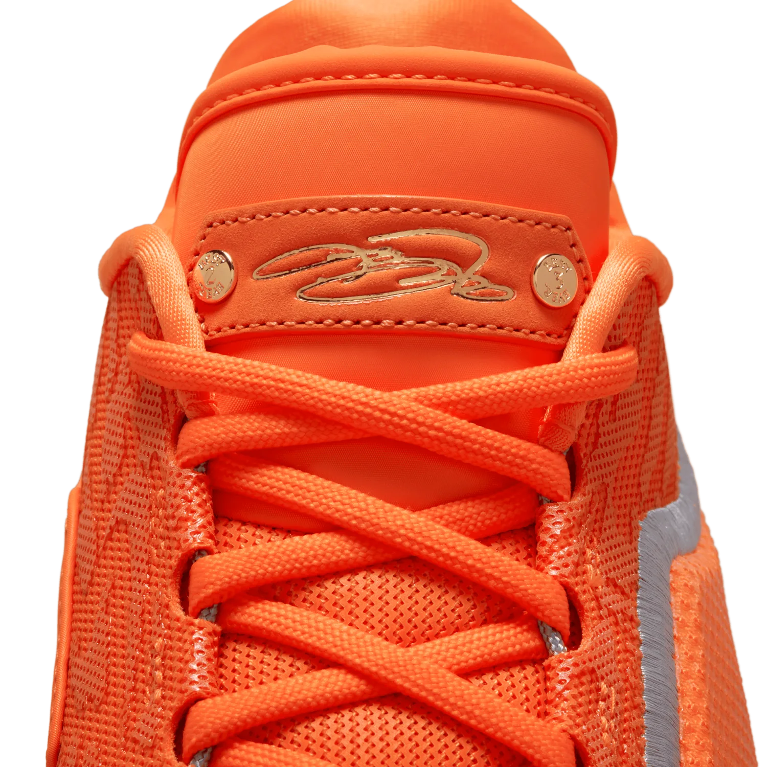 Nike LeBron 23 Shoe Bag image 3