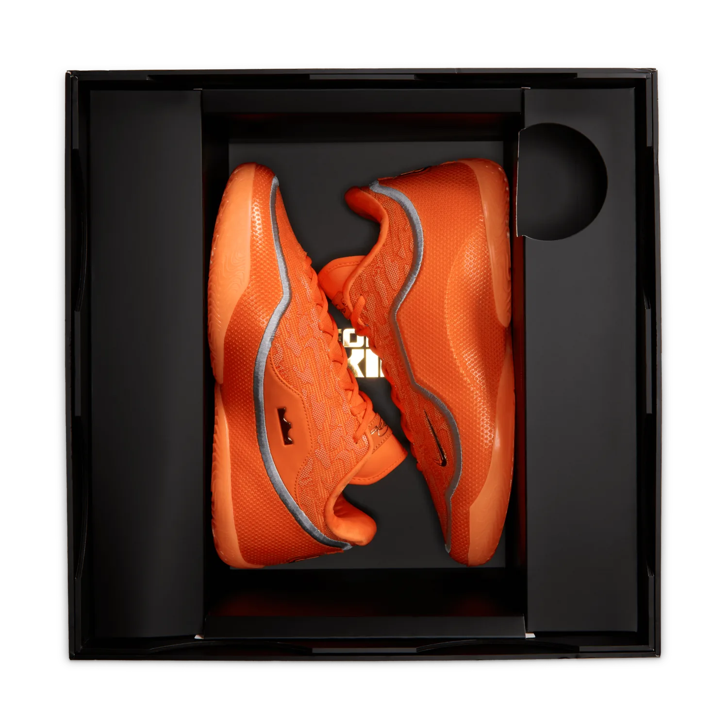 Nike LeBron 23 Shoe Bag image 6