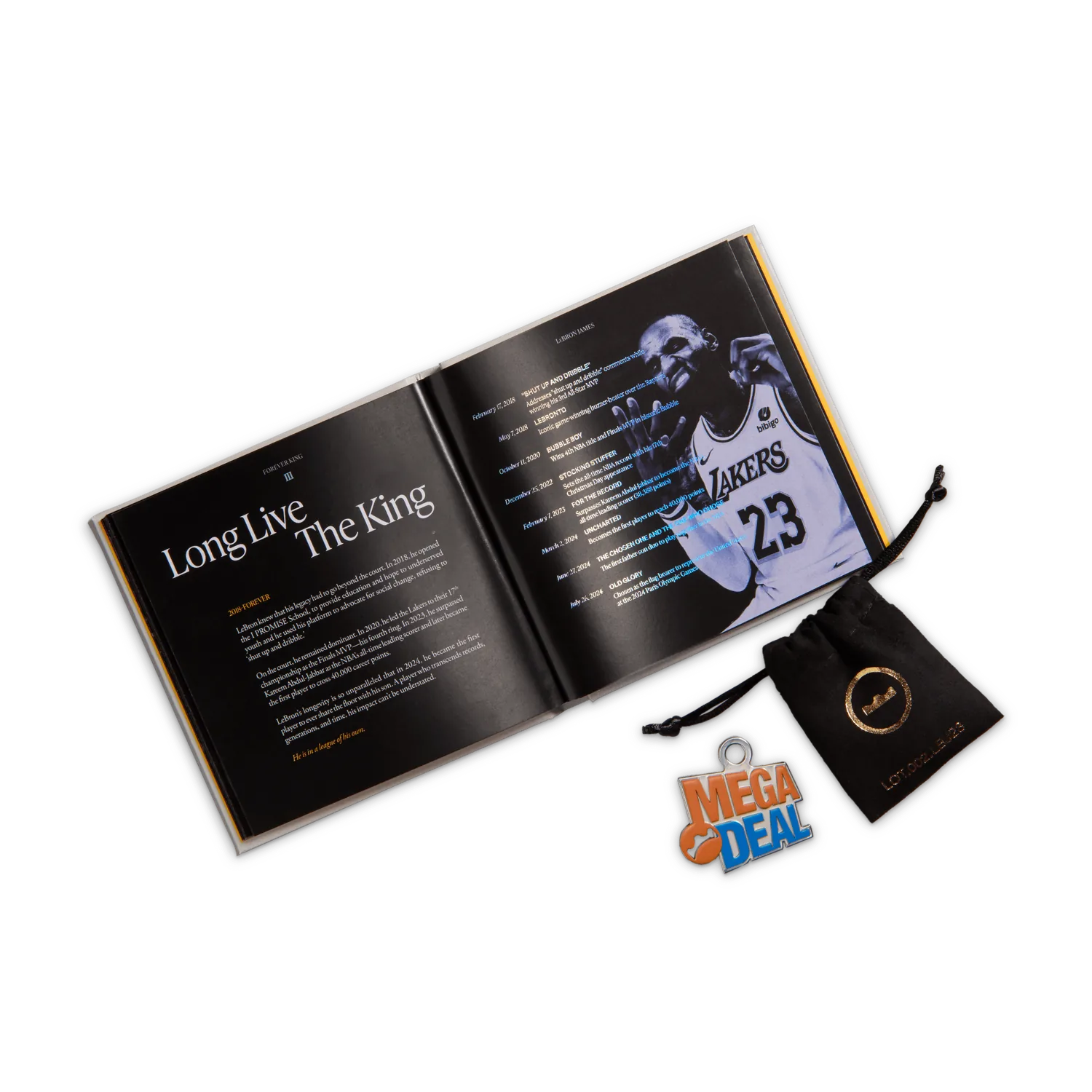 Nike LeBron 23 Shoe Bag image 8