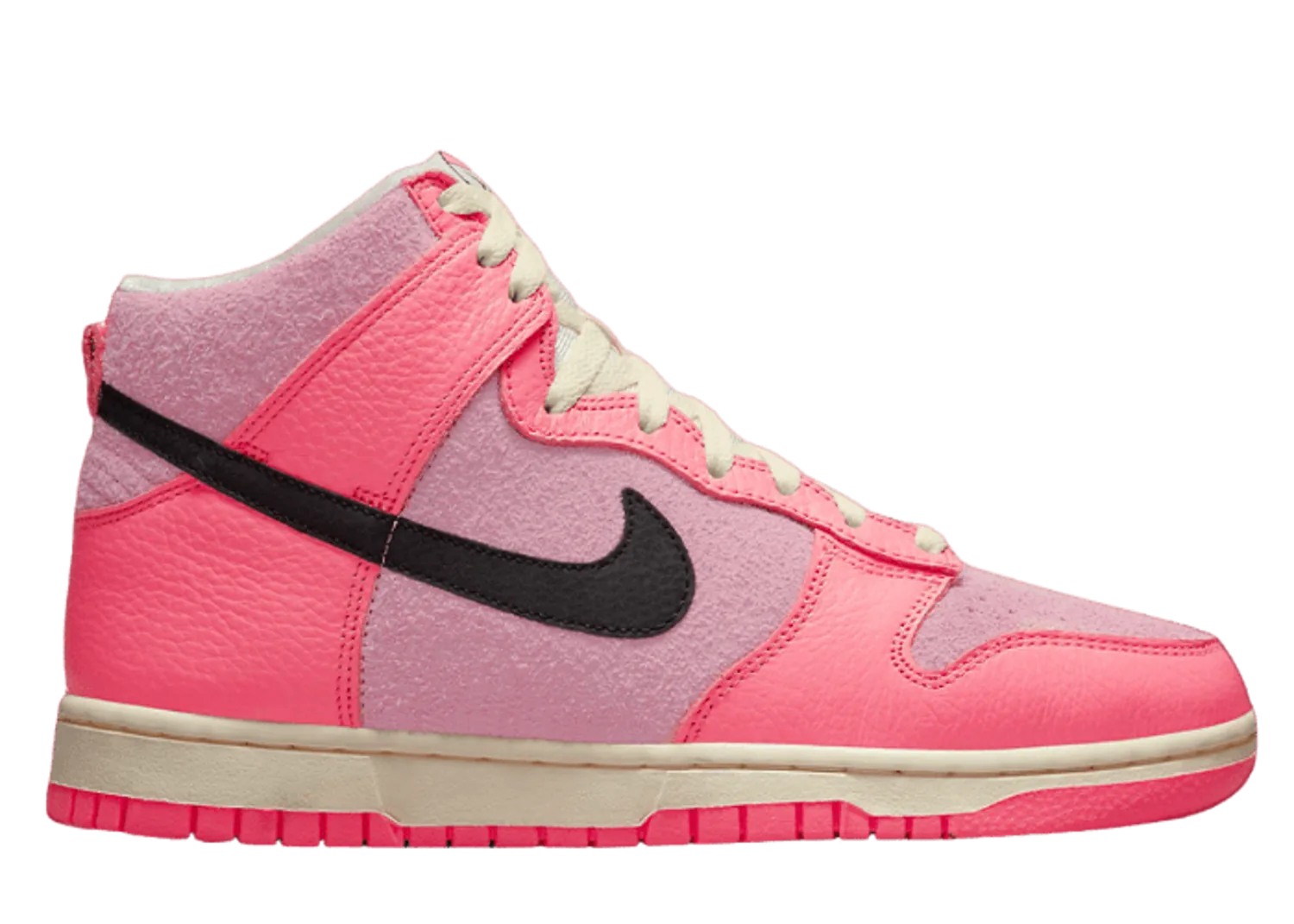Nike Dunk High Hoops (W)
