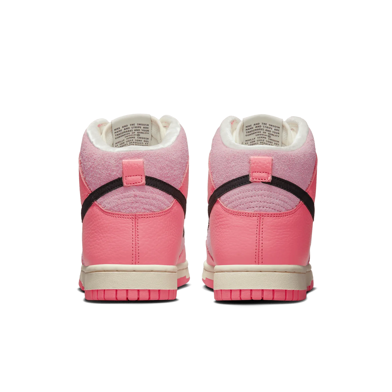 Nike Dunk High Hoops (W) image 5