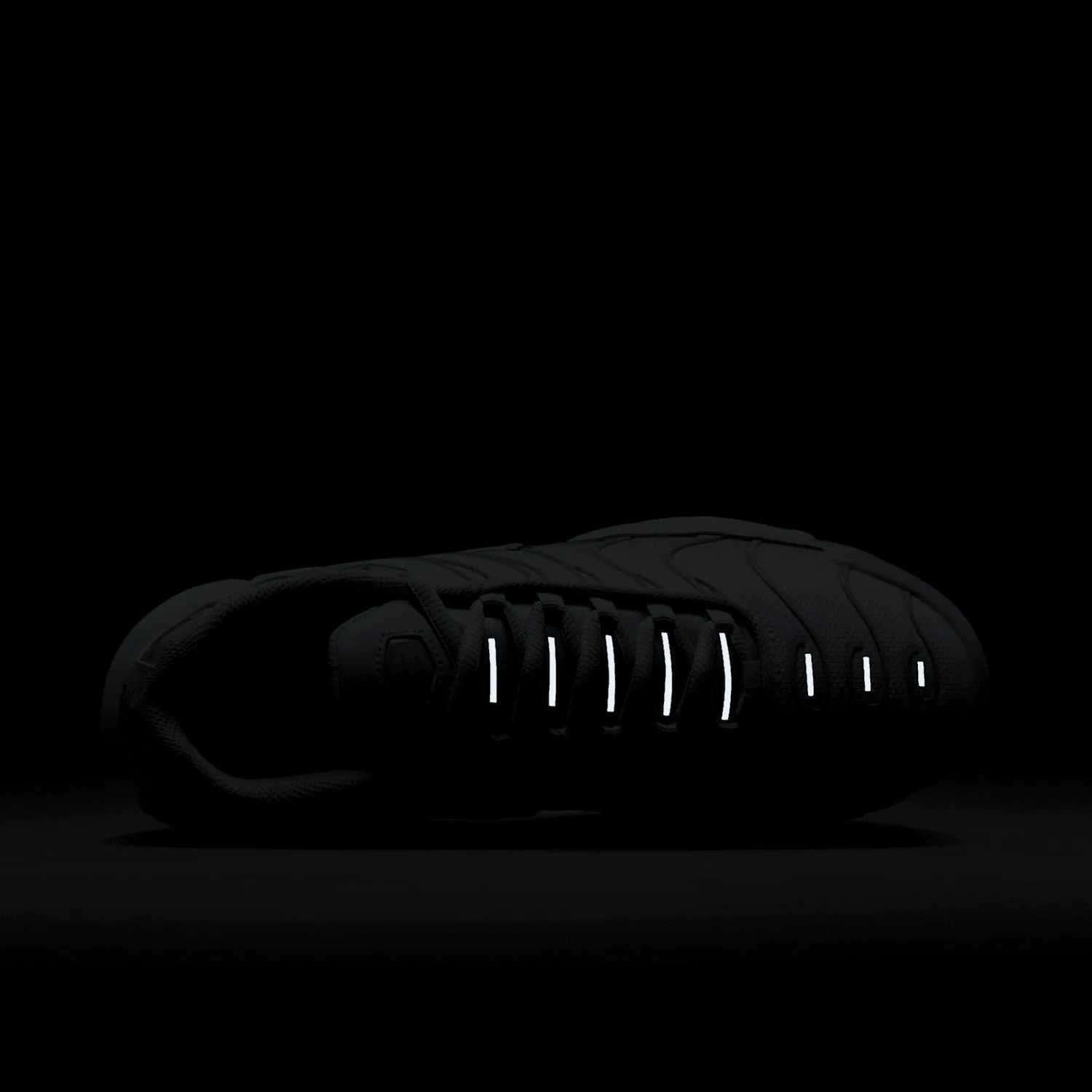 Nike Air Max Plus Daybreak (W) image 6