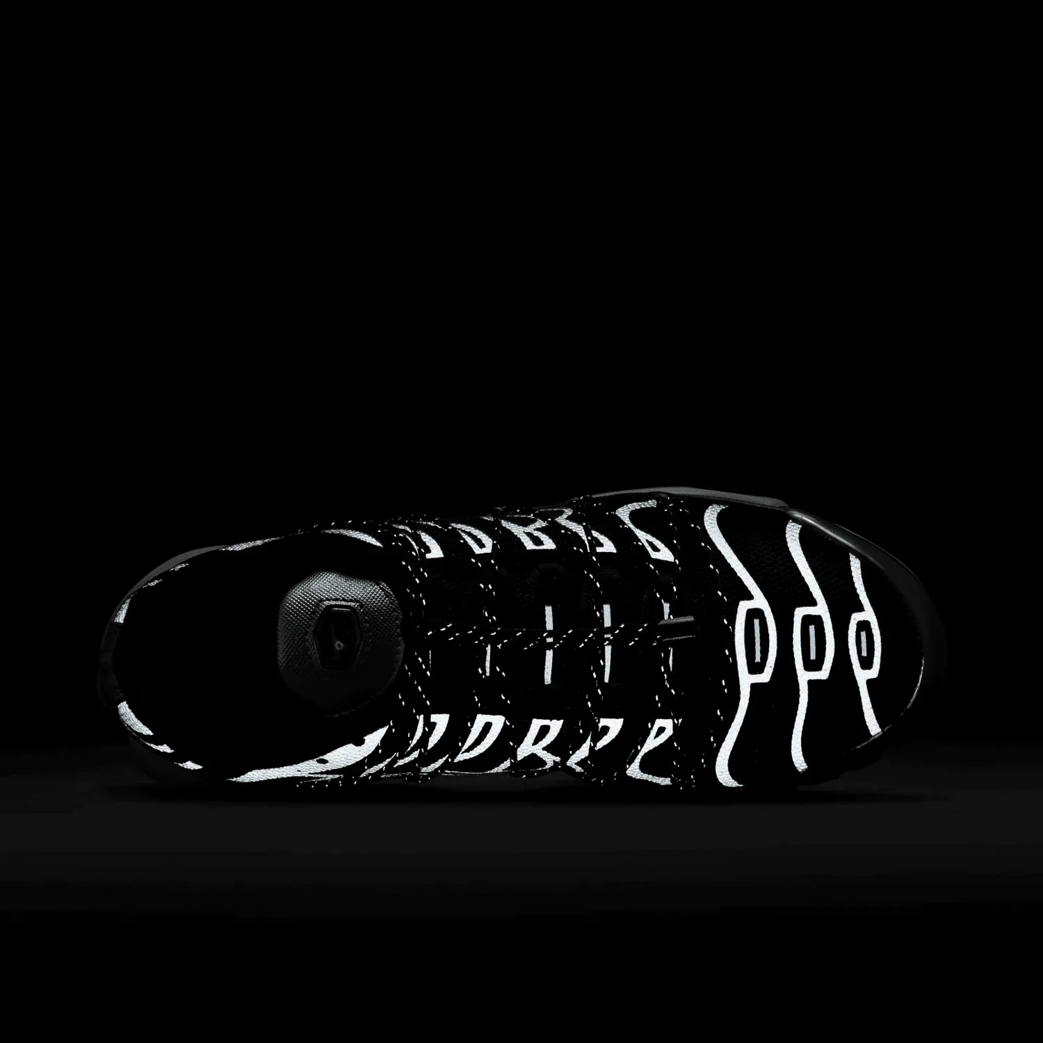 Nike Air Max Plus Toggle Metallic Silver (W) image 14