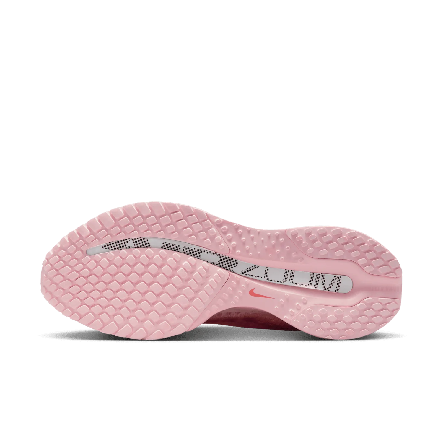 Nike Pegasus Premium Atmosphere (W)
