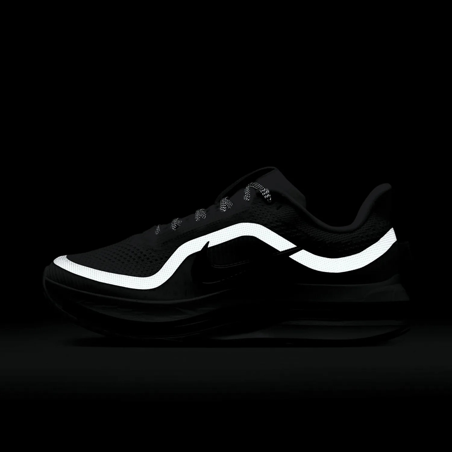 Nike Pegasus Premium After Dark Tour (W) image 2